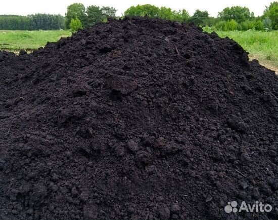 Торфогрунт