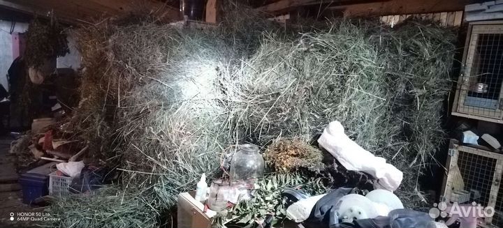 Сено в брикетах