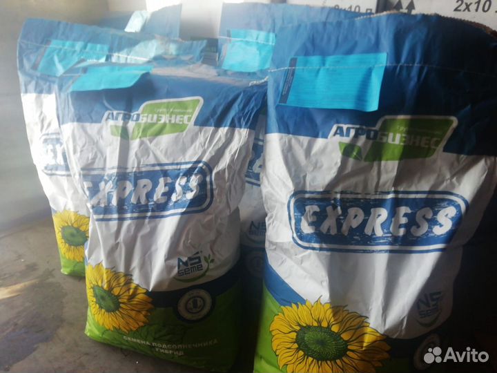 Семена подсолнечника