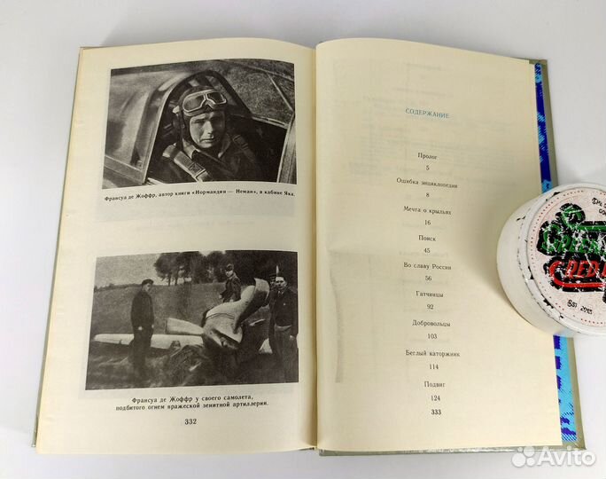 Воздушный казак Вердена. Гальперин Книга не читана