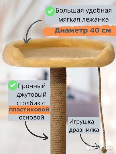 Когтеточка