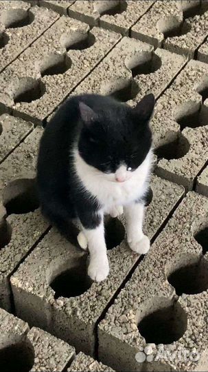 Керамзитные блоки трех щелевой M-14 Арт.2