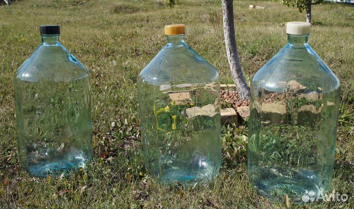 Бутыль стеклянная 20 литров