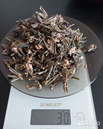 Саган дайля чай