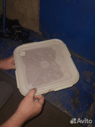 Икра красная