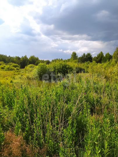 Участок 13 сот. (ИЖС)