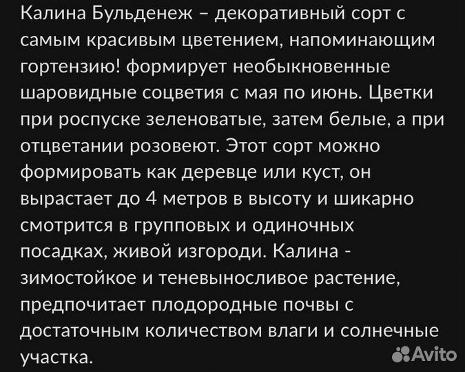 Бульдонеж,керрия,барвинок