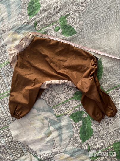 На йорка или маленькую собаку