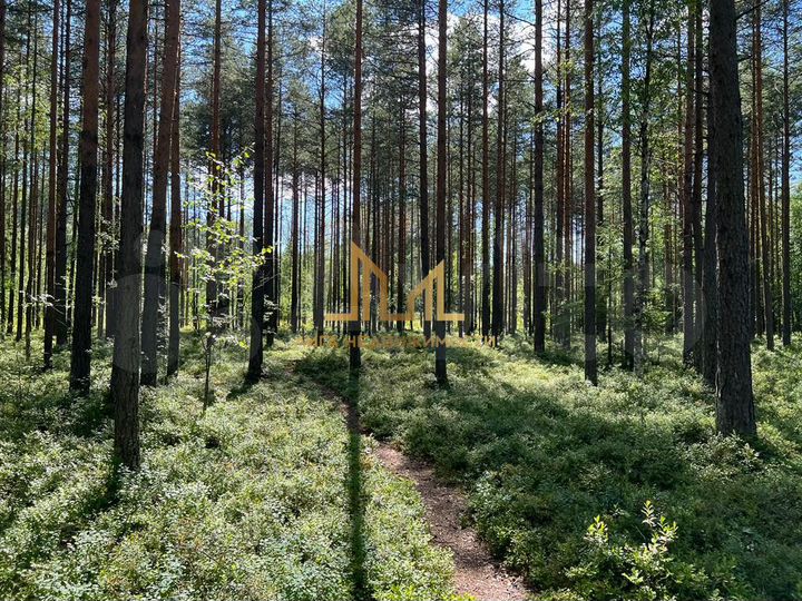 Участок 30,2 сот. (ИЖС)