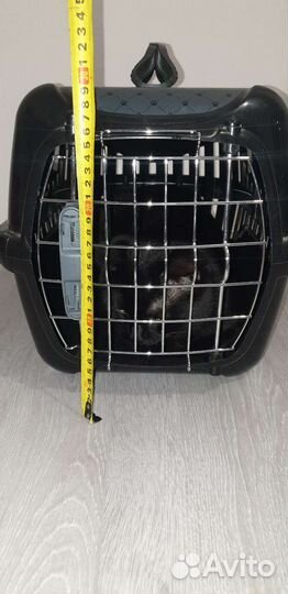 Переноска для кошек и собак