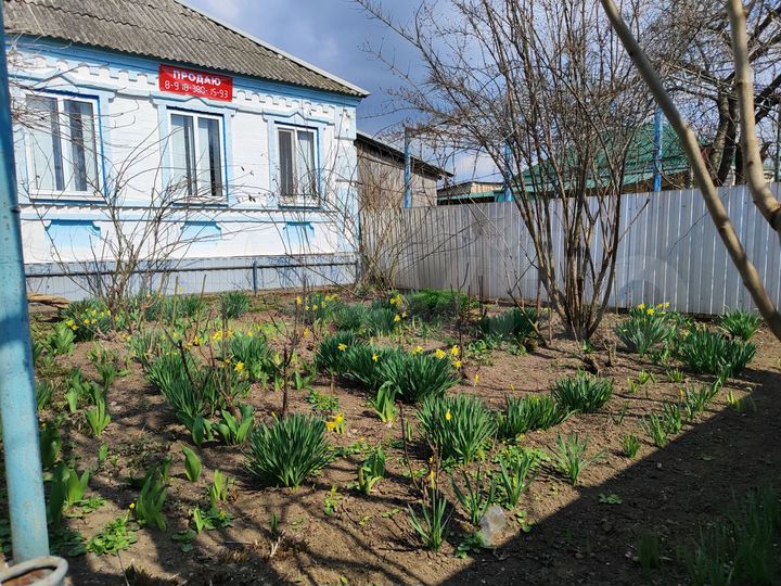 Дом 100 м² на участке 20 сот.