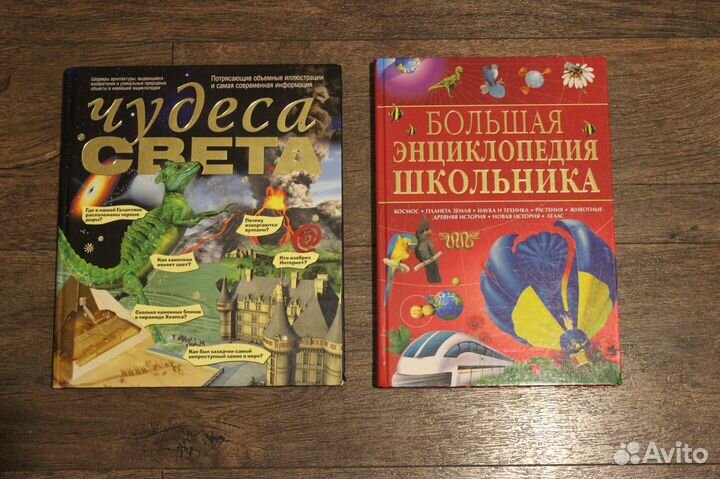 Большой учебный справочник школьника