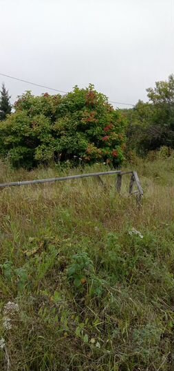 Участок 22 сот. (ИЖС)