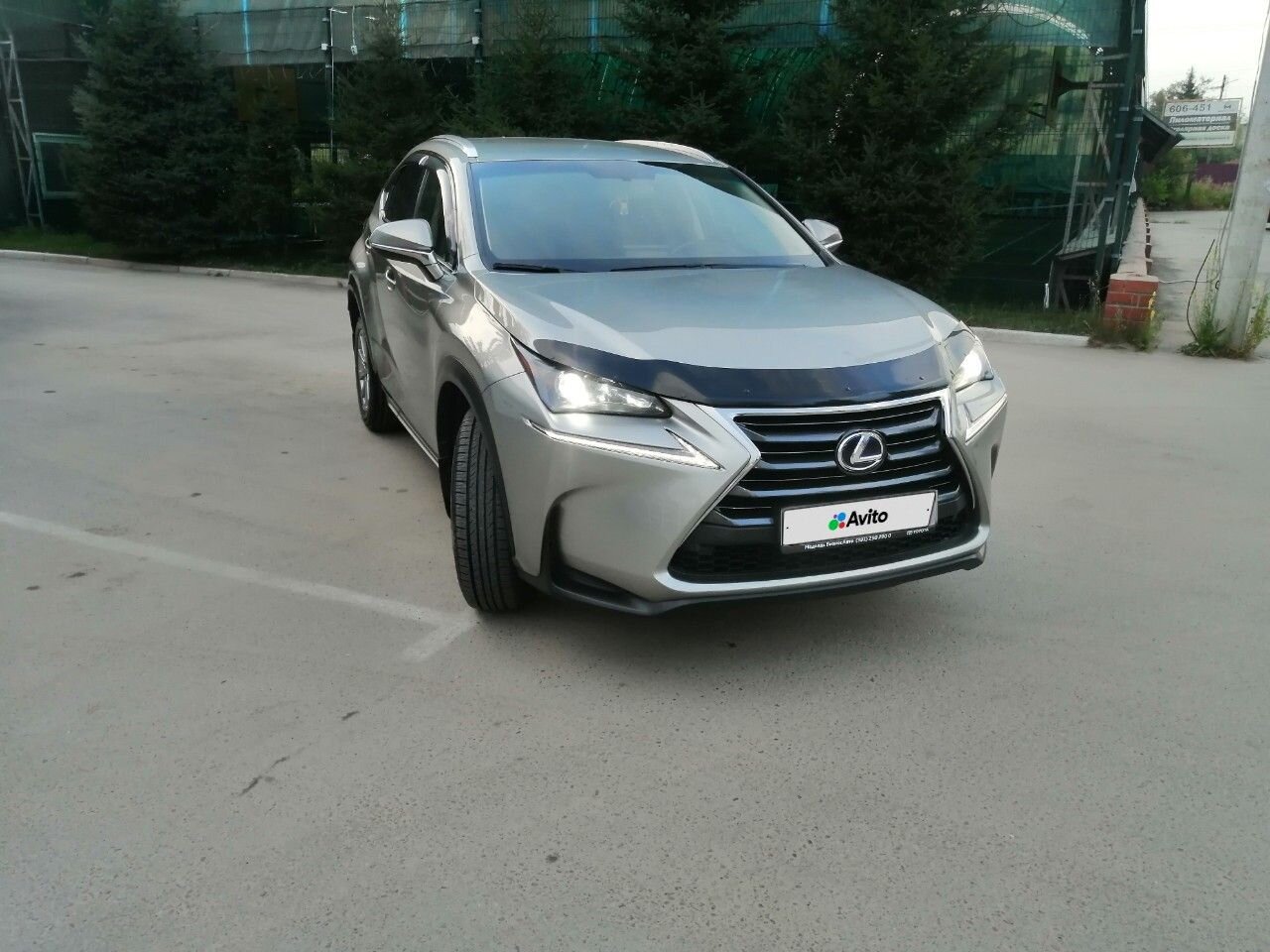 Lexus NX: фото владельца