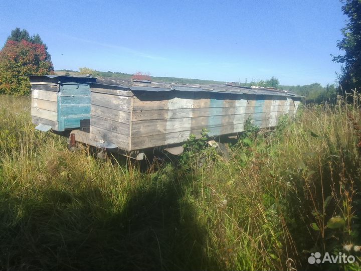 Улей для пчел бу