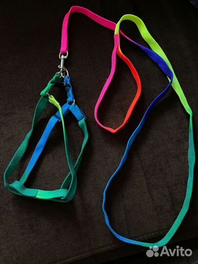 Ошейник для кошек