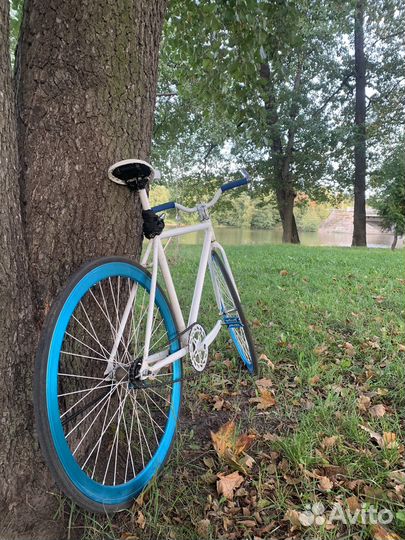 Фикс синглспид