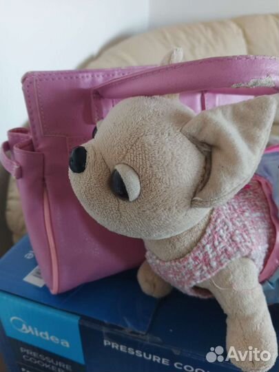 Собачка чичилав chi chi love