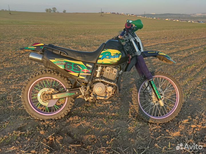 Yamaha TTR 250 Raid