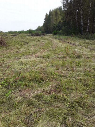 Участок 3 га (СНТ, ДНП)