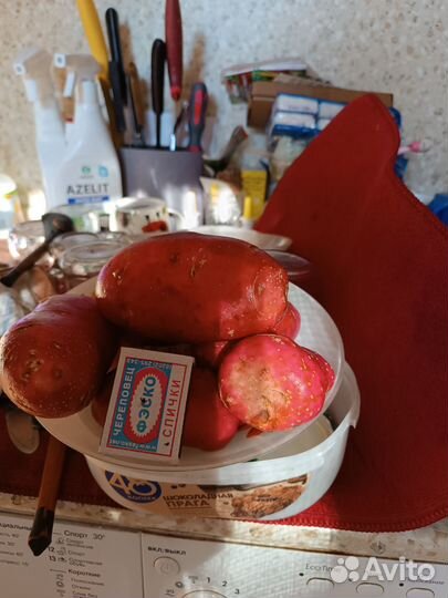 Продам картофель