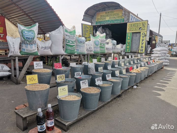 Корма для с/х животных