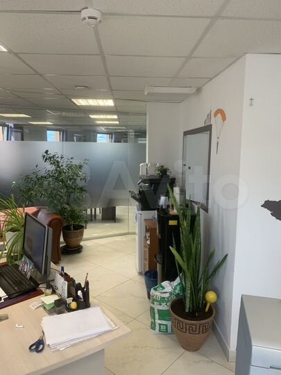 Офис, 43.1 м²