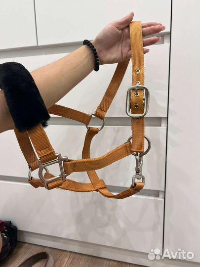 Амуниция для лошадей