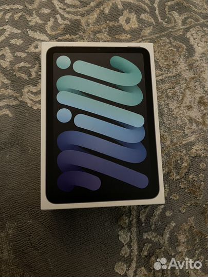 iPad mini 6