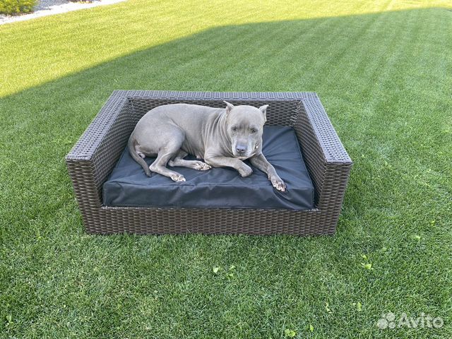 Лежанка - диван для собаки