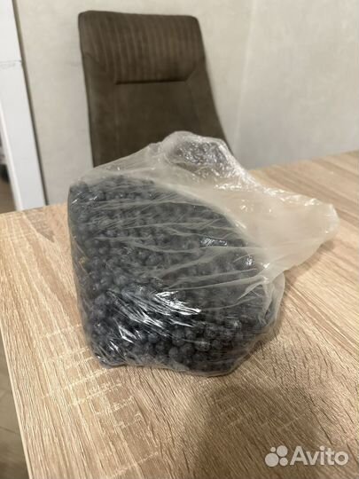 Семена пальмы трахикарпус