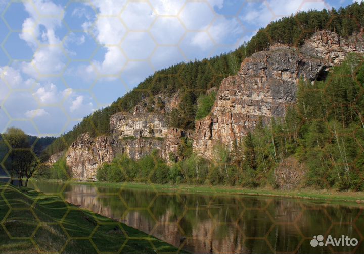 Фотографии. Отрада для глаз)