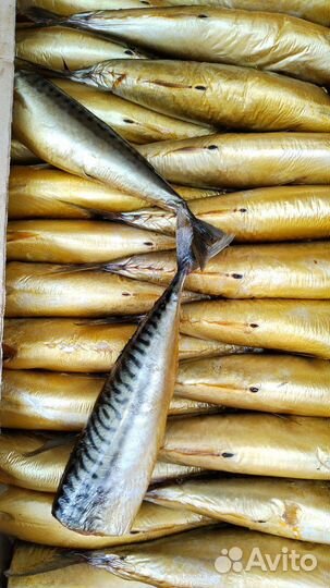 Копчёная и свежемороженная рыба