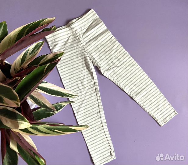 Лосины для девочки 116