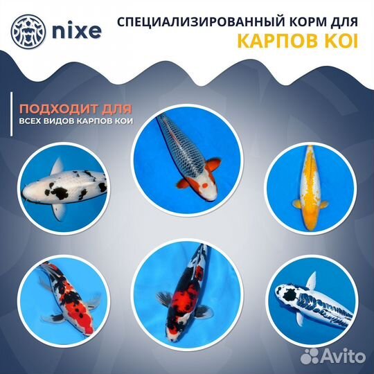 Профессиональный корм для карпов кои niхе кои grаn