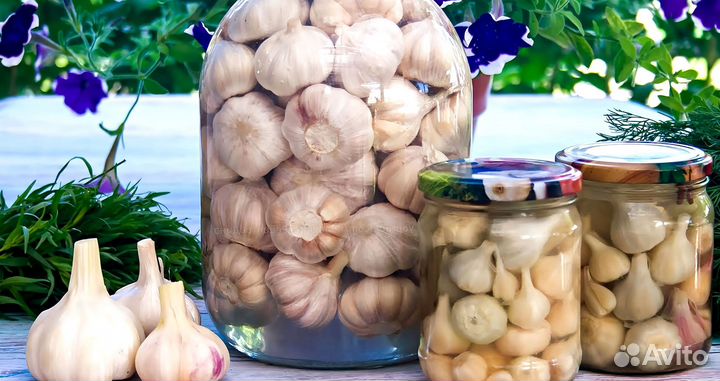 Маринованный чеснок головками и дольками