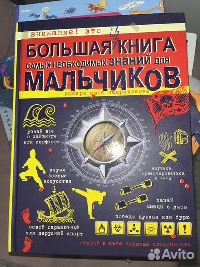 Большая книга мальчиков
