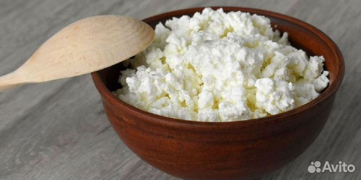 Творог домашний оптом