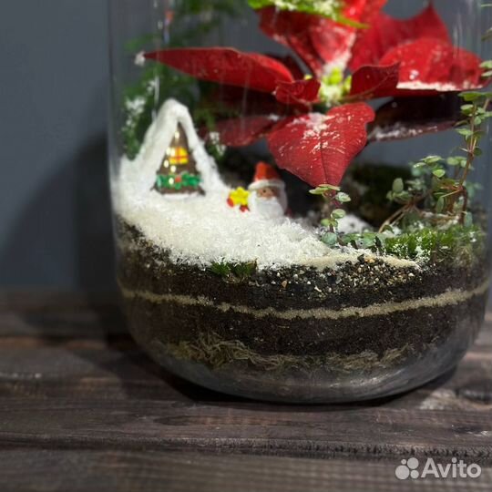 Новогодний флорариум с подсветкой - 