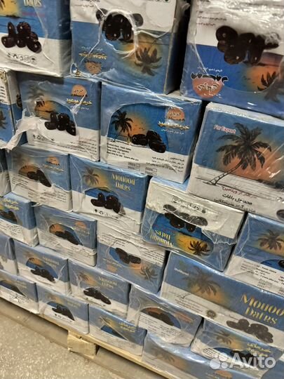 Финики иранские свежие