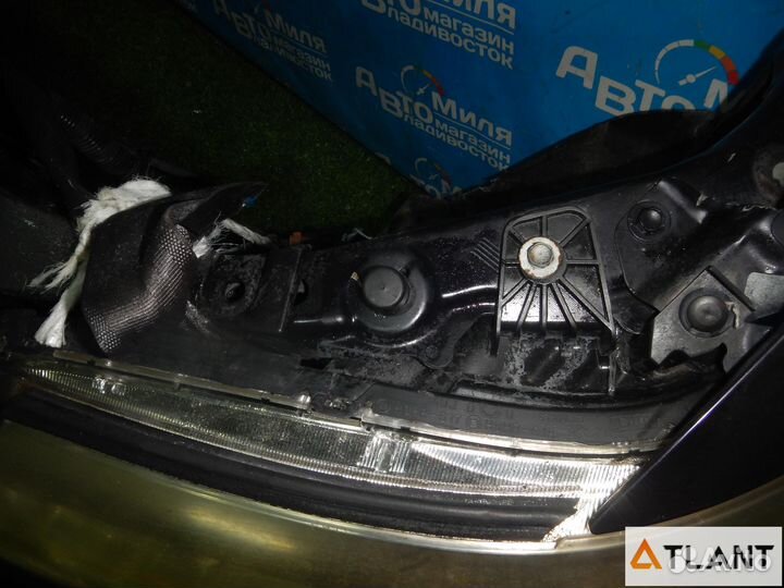 Nose cut honda elysion