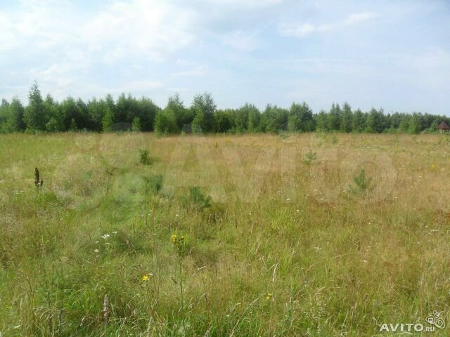 Участок 12,8 сот. (ИЖС)