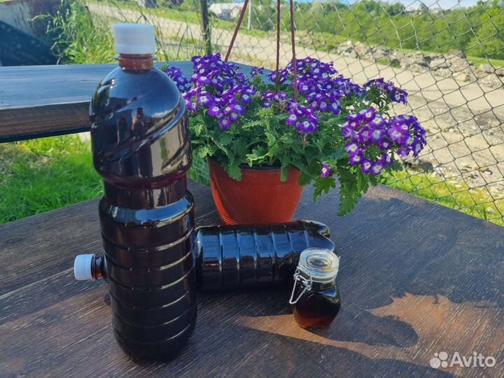 Каштановый мёд