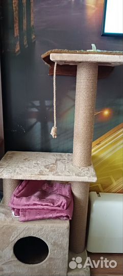 Когтеточка с домиком и лежанкой