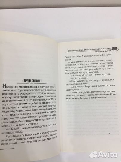 Питер Гитерс - Необыкновенный кот и его обычный хо