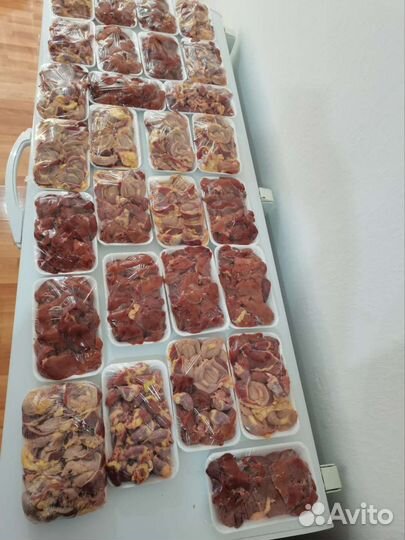 Домашние куры бройлеры