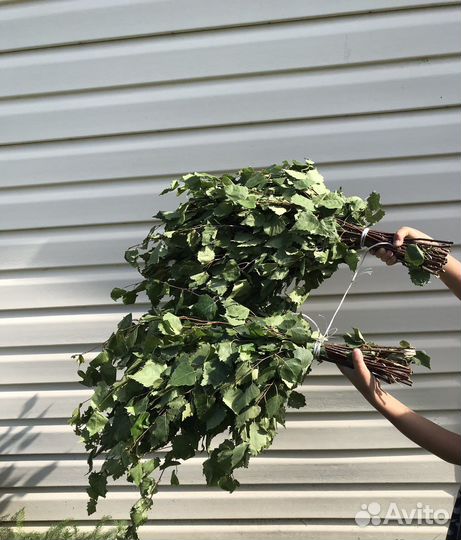 Банные веники берёзовые башкирские