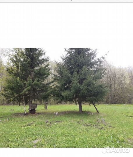 Продаётся пасека