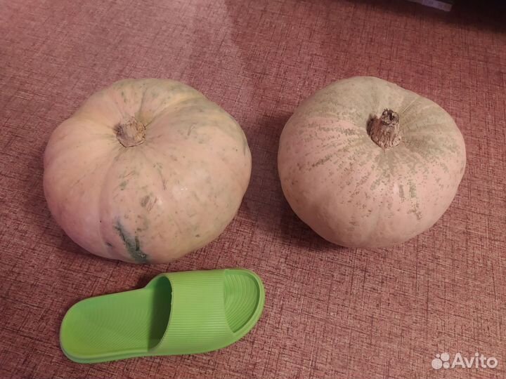 Кабачки