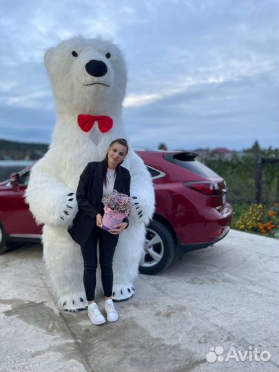 Поздравление от медведя Умки и Чебурашки